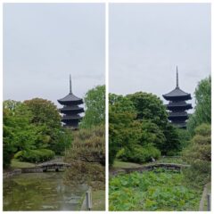 東寺